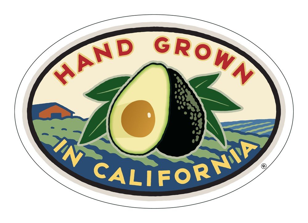California Avocados